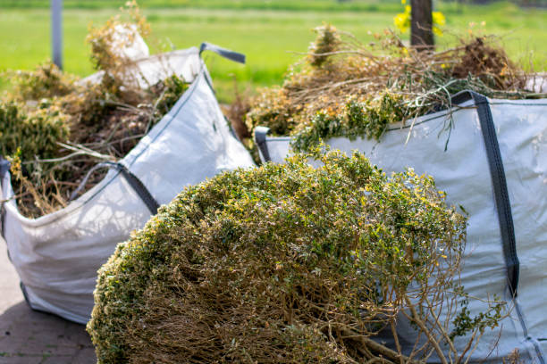 Best Construction Debris Removal  in Richmond, MI